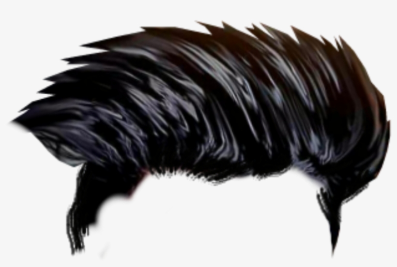Hd Hair Png Cb Hair Png Download - Editing Hair Png Hd - Free Transparent PNG Download - PNGkey Hd Hair Png Cb Hair Png Download - Editing Hair Png Hd - Free Transparent PNG Download - PNGkey