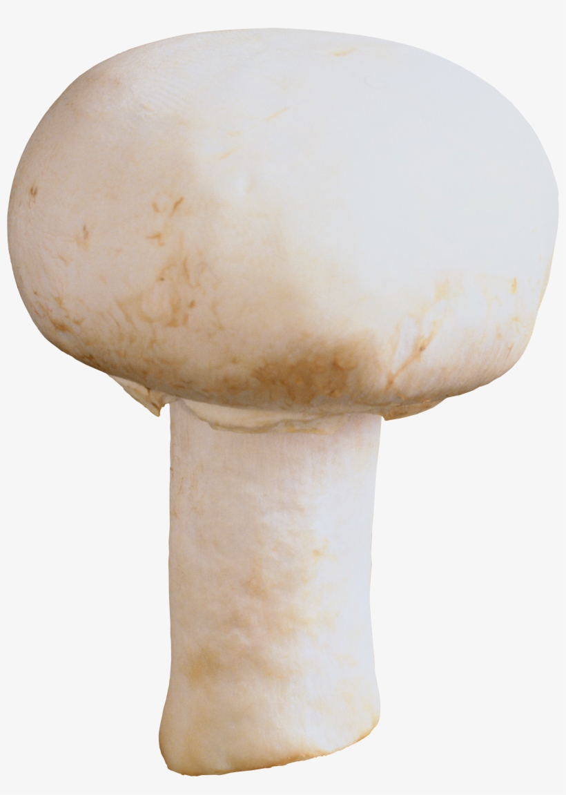 Mushroom Png, transparent png #288258
