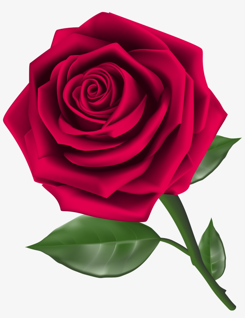 Rose Png, transparent png #288366