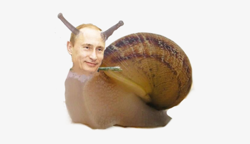 Saanko Esitellä, Snutin - Funny Snails, transparent png #288573