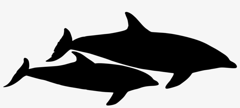 Dolphin Vector Graphic - Dolphin Silhouette Vector Png, transparent png #288637