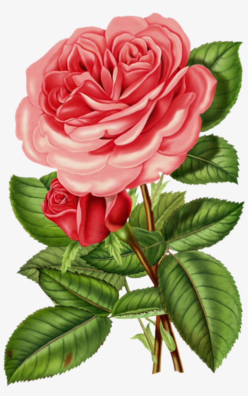 Free Vintage Rose Clip Art - Victorian Roses, transparent png #288956
