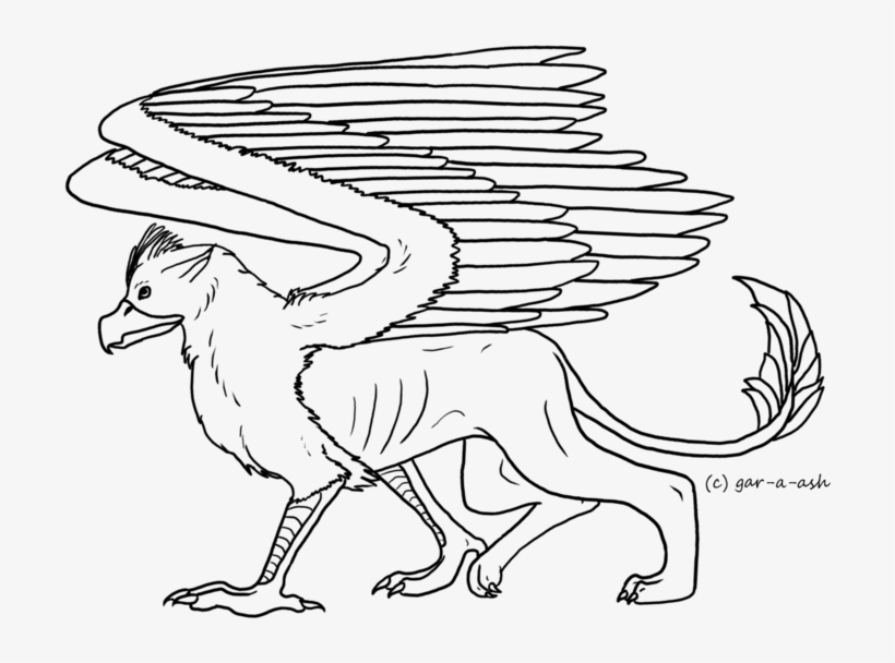 Drawn Griffon Peter Griffin - Griffin Coloring Pages Free, transparent png #289737