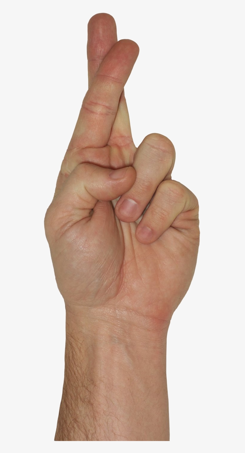 Keeping My Fingers Crossed For Western Localization - Sign Language, transparent png #2800281