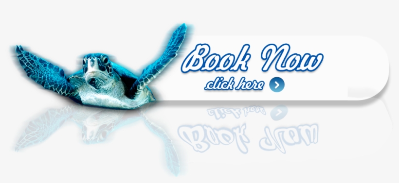 Book Now - Aquaria Klcc, transparent png #2801416