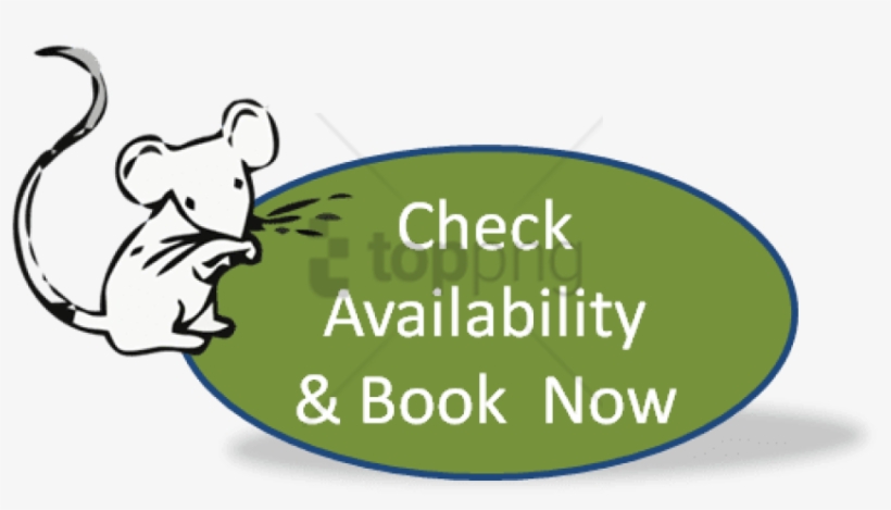 Real Time Online Bookings - Avoid Disappointment Book Now, transparent png #2801443