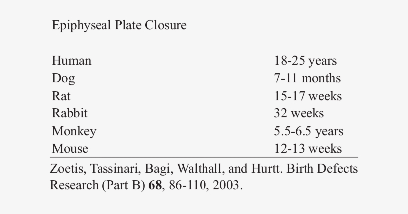 Skeletal System - Gemeente Zoeterwoude, transparent png #2802244