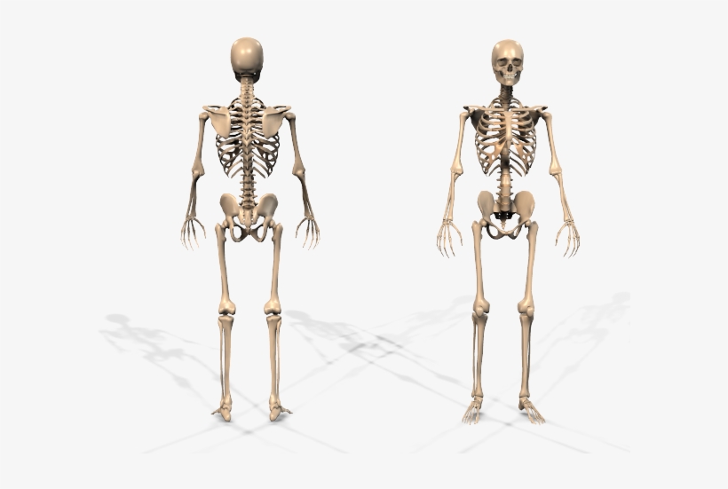 Stacks Image - Plus Fitness, transparent png #2802297