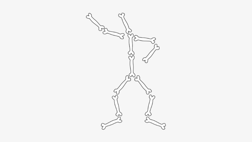 Drawn Skeleton Bone - Human Body Bones Png, transparent png #2802661
