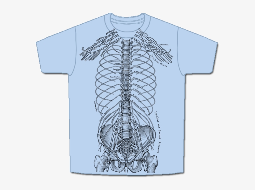 The Nervous System Is Printed In Black Ink On A Blue, transparent png #2802685