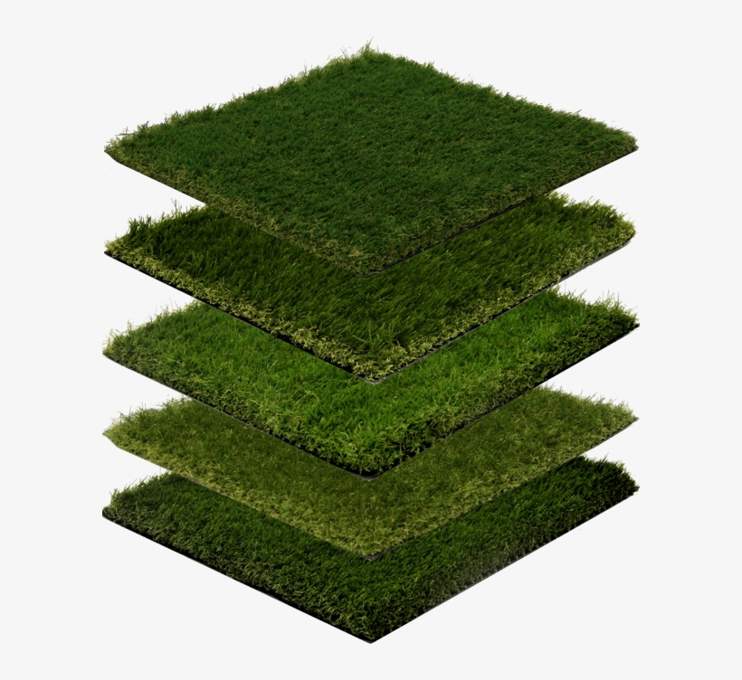 High Quality Products - Genoa, transparent png #2802708