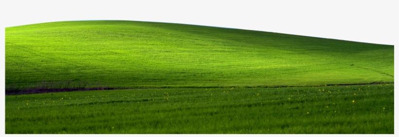 Go Back To The Codepunker's Den - Windows Xp Bliss Transparent, transparent png #2802712