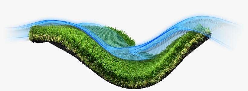 Our Best Seller - Grass, transparent png #2802752