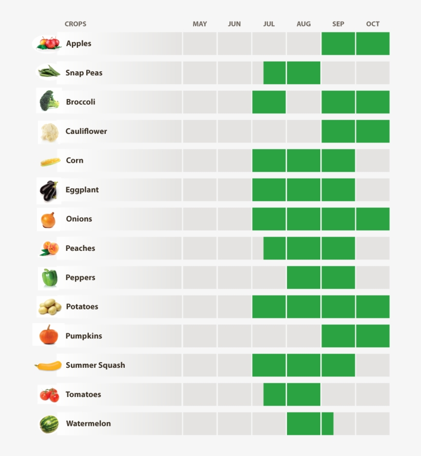 Covered Wagon Produce Harvest Schedule - Covered Wagon Produce, transparent png #2804149