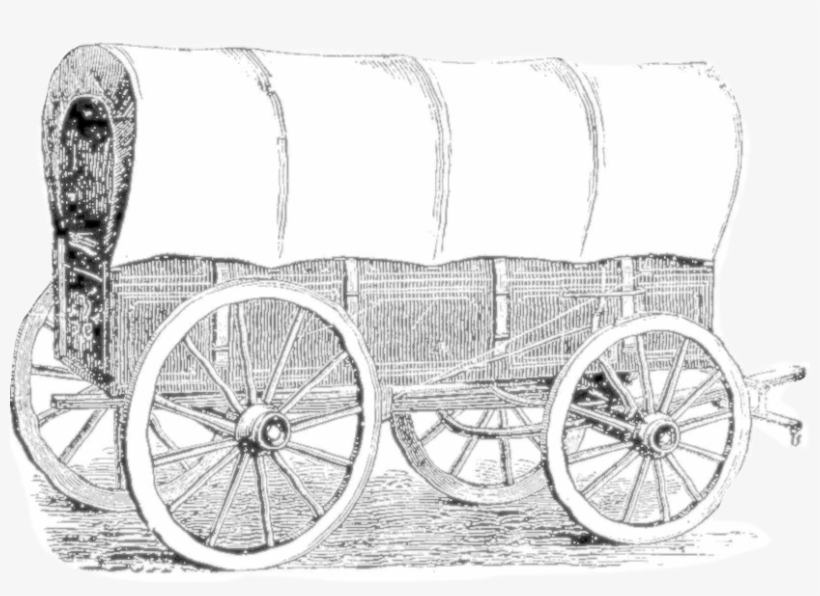 4/5 Covered Wagons $8 Admission Per Adult Piney Flats, - Carriage, transparent png #2804221