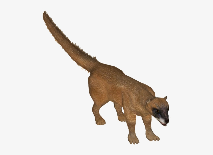 Siberian Weasel - Wiki, transparent png #2804438