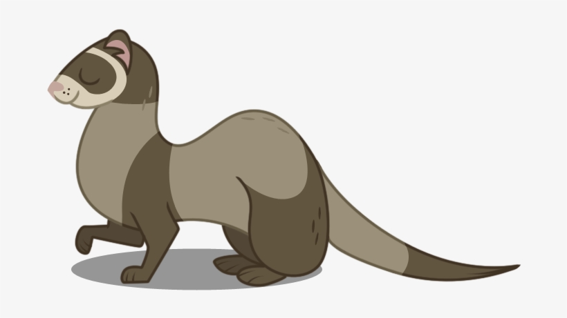 Related Png Images - My Little Pony Ferret, transparent png #2804538