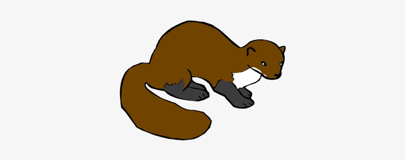 Weasel - Ferret, transparent png #2805121