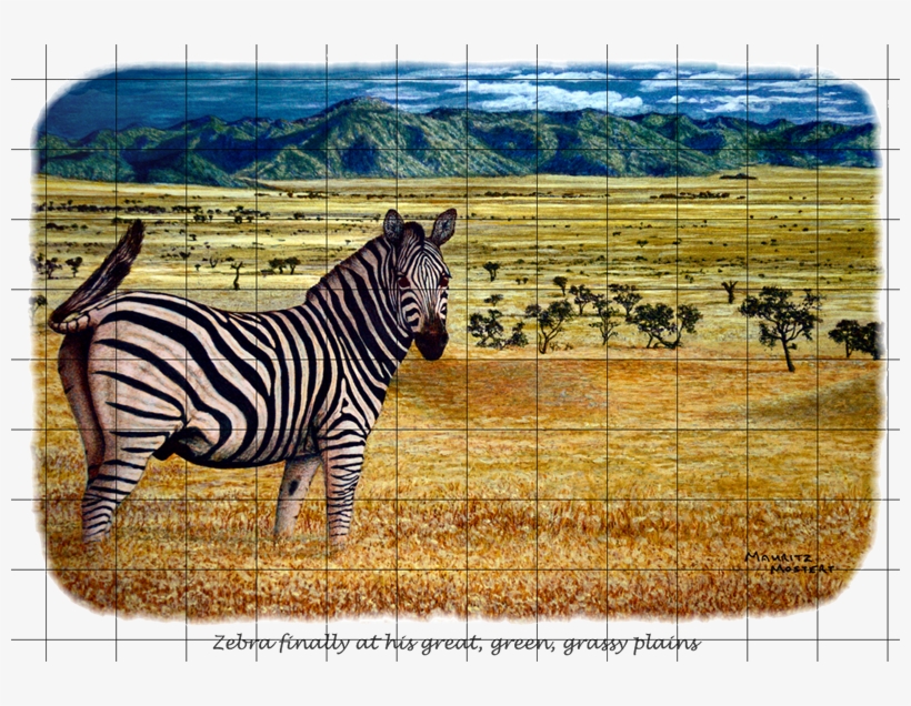 Zebra Plains Web Gr - Wildmoz, transparent png #2805824