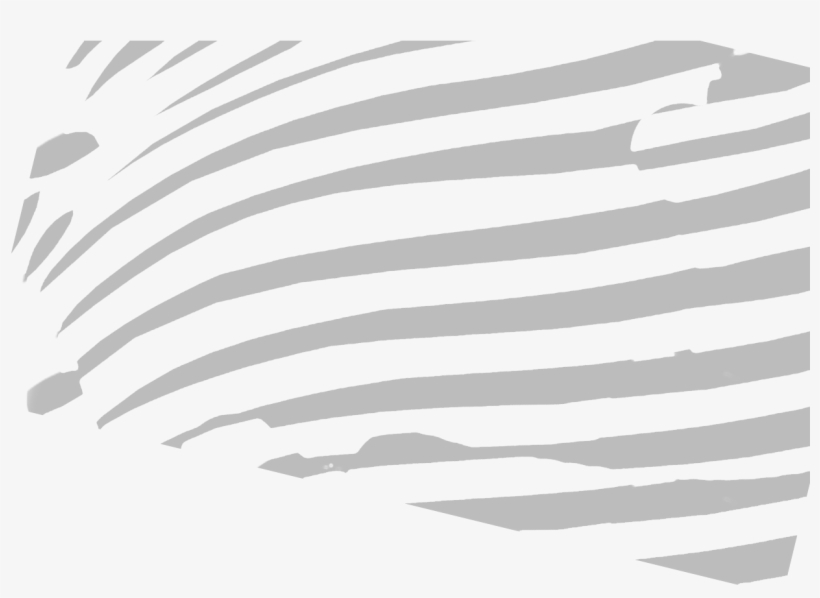 Zebra-stripes - Monochrome, transparent png #2805863