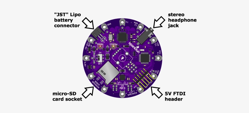 Lilypad Mp3 Player Connectors - Lily Pad Anatomy, transparent png #2805898