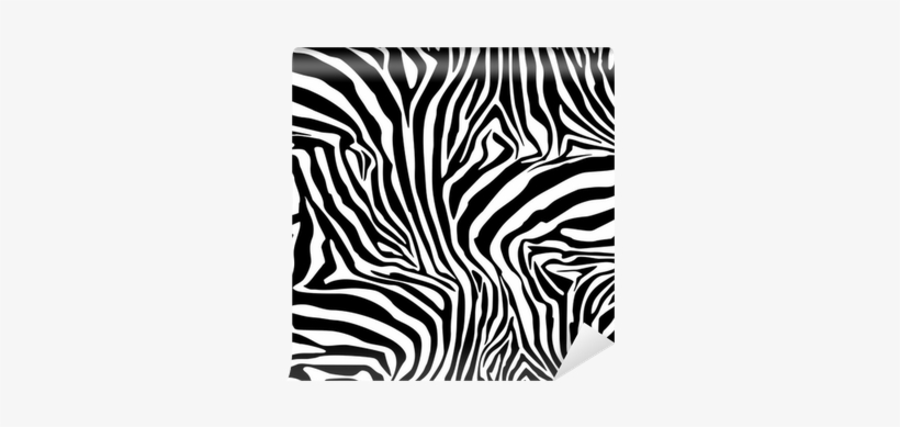 Zebra Stripes - Zebra, transparent png #2805966