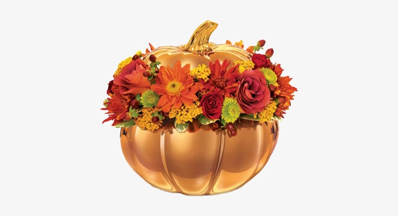 Assorted Fall Flowers Svg Cut Files Flower Scal Files - Pandora Insurance, transparent png #2806699