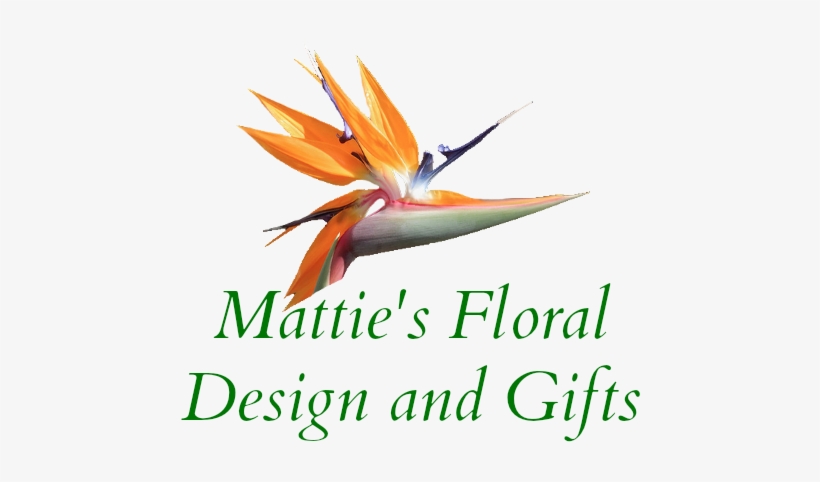 Store Logo Store Logo, transparent png #2806979