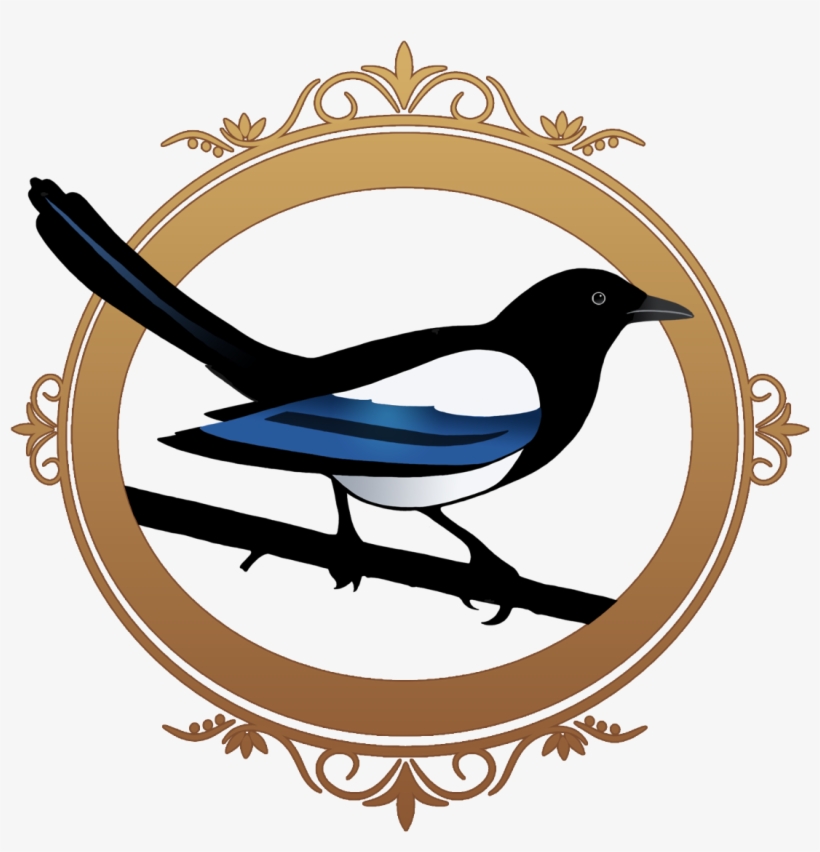 Kj Charles - Magpie, transparent png #2807006