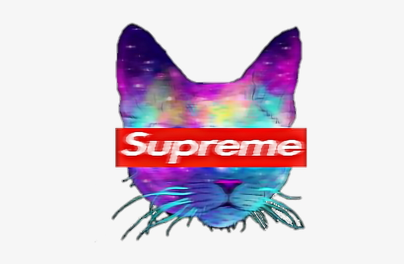 Cat Tumblr Supreme Cool Catsofpicsart Galaxy Supremest - Cool Supreme, transparent png #2807341