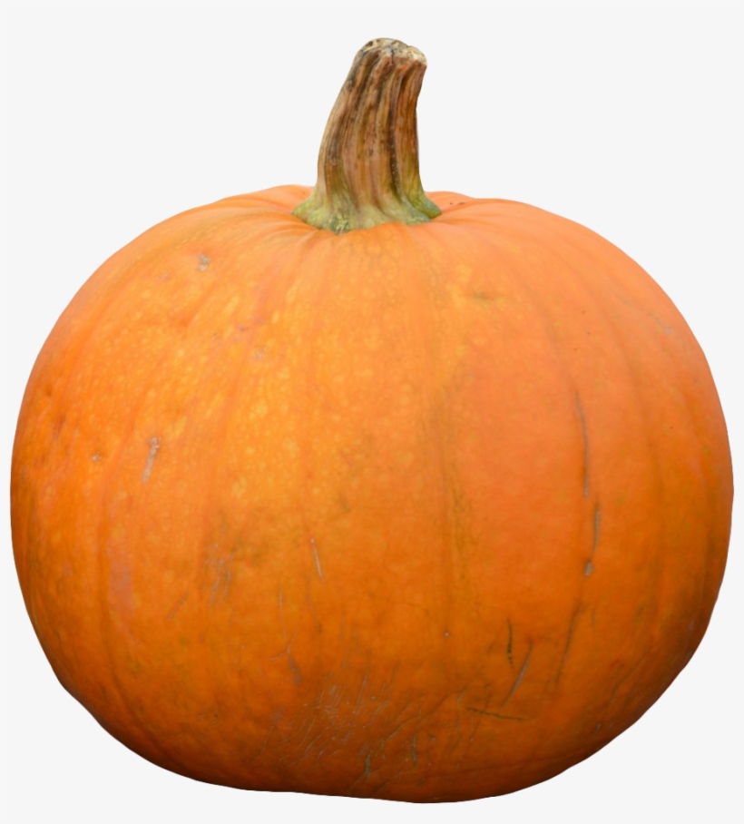 Pumpkin Png Image1 - Pumpkin, transparent png #2807634