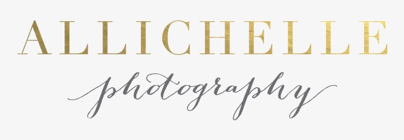 Allichelle Photography - Photography Writing Logo, transparent png #2808039