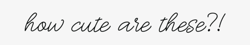 Subscribe To Our Newsletter - Calligraphy, transparent png #2809664