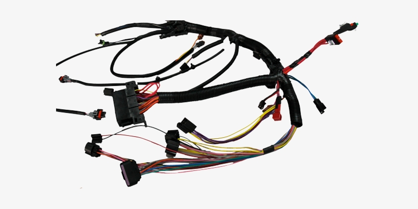 Refrigerator Wiring Harness - Wire Harness Png, transparent png #2809874