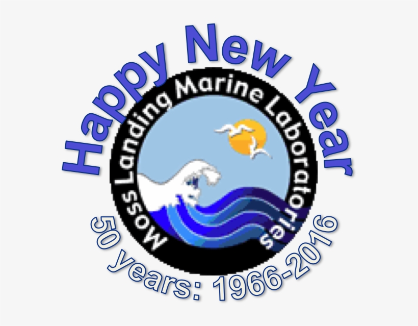 Com Happy New Year 2015 By Beautifulsunny On Deviantart - Moss Landing Marine Laboratories, transparent png #2810565