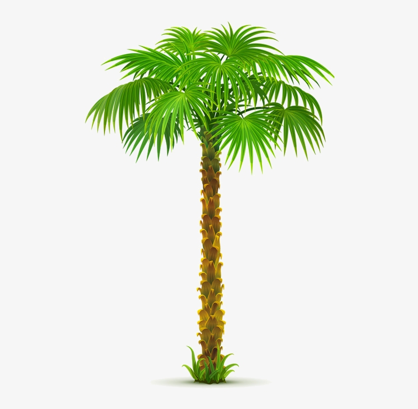 8963e73a Palm Tree Png, Paper Palm Tree, - Date Tree Clip Art Png, transparent png #2810916