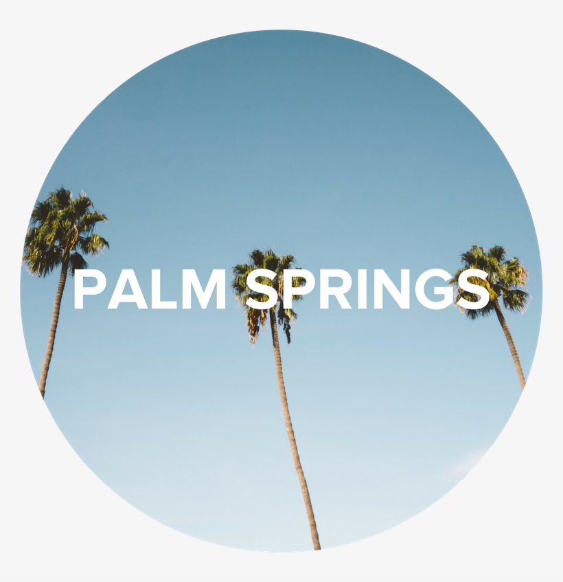 Palm Springs, transparent png #2811255
