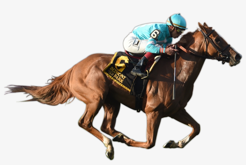 Uni Wins The G2 Sands Point Stakes - Ride A Horse Png, transparent png #2811375