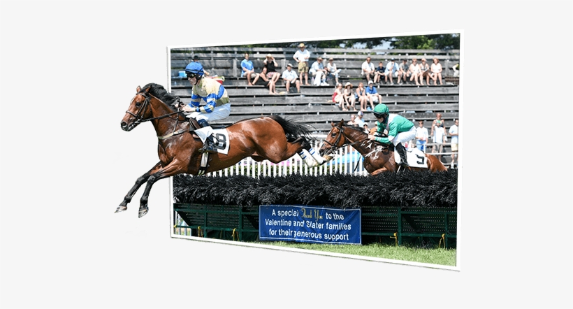 Out Of Bounds Fair Hill Horse Racing - Best Out Of Bounds, transparent png #2811579