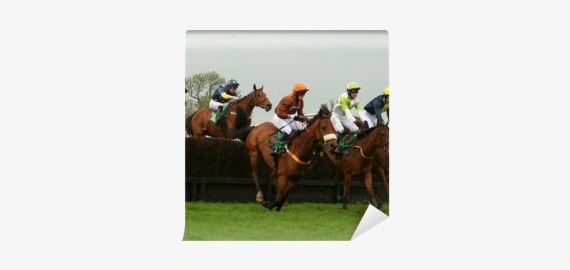 Horse Racing, transparent png #2811647