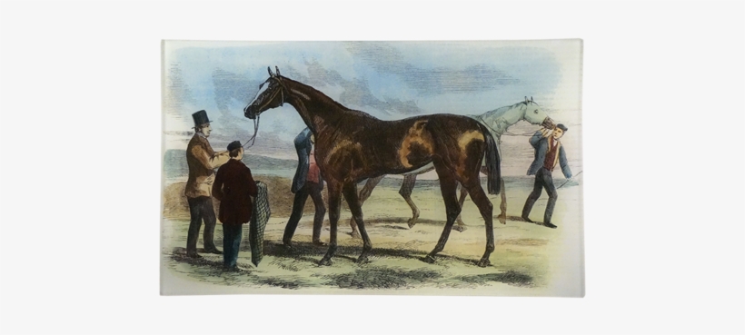 Governess - Print 1858 Horse Fitzroland Governess Thousand Stakes, transparent png #2811859