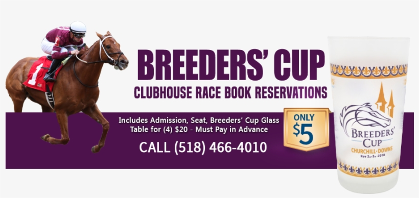 Clubhouse Race Book Reservations Available - Stallion, transparent png #2811961
