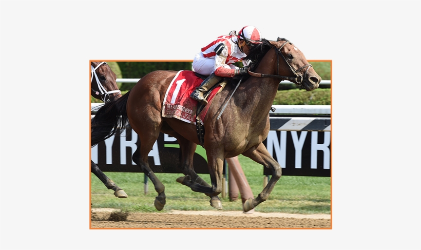 Practical Joke, transparent png #2811966