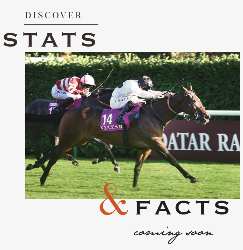 3 - Circuit De Spa-francorchamps, transparent png #2811983