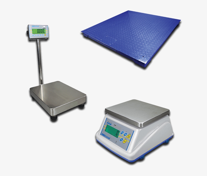 Legal For Trade Scales - Adam Equipment Wbw 6am 6 Lb Wash Down Scale Capacity, transparent png #2812247