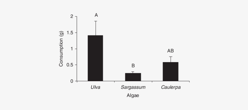 Number Of Bite Marks Against The Number Of Crinodus - Common Fig, transparent png #2813891