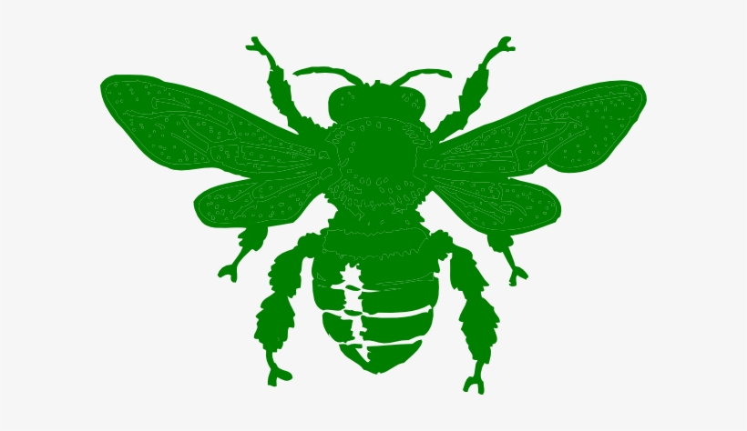 How To Set Use Green Bee Icon Png - Bee Stencil, transparent png #2814051