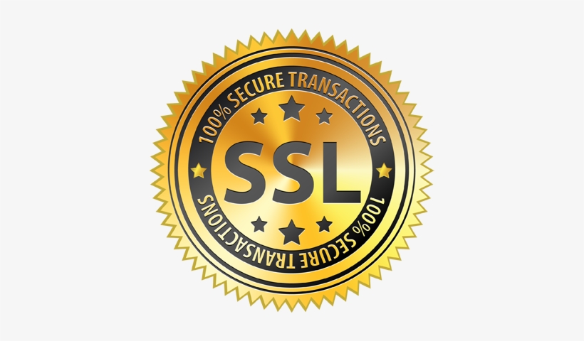Matley Uses The Standard Technology Ssl Which Allows - Delphi Ds1004 Oe Ignition Control Module, transparent png #2814646