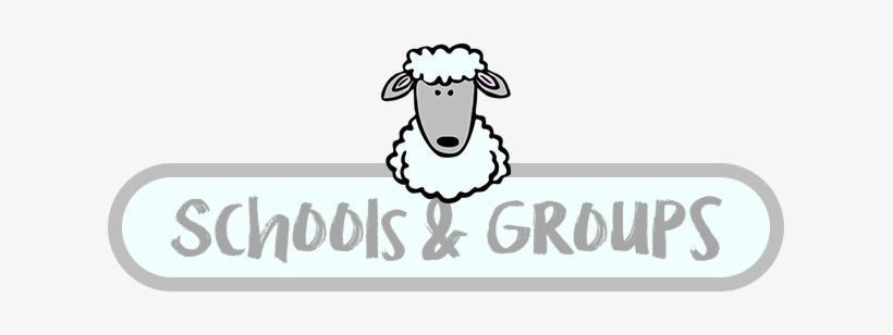 Belmont Farm Offers A Unique Opportunity For Anyone, - Ewe Is Cute Tile Coaster, transparent png #2814841