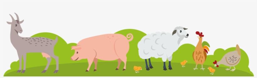 Staunton Farm Animals - Staunton Country Park Jobs Cafe, transparent png #2815045